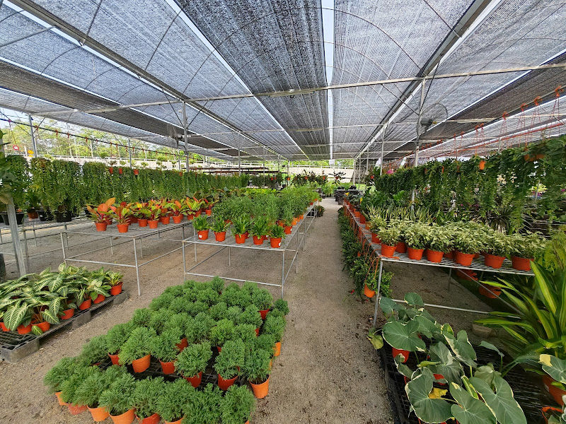 Gadek Nursery @Pusat Flora Cheras, Kajang, Bangi, Kuala Lumpur