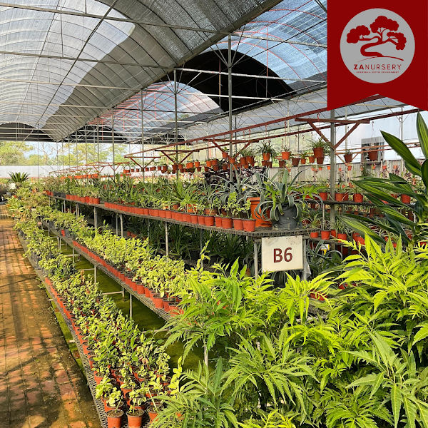 Za Nursery & Landscaping Malaysia (Selangor)