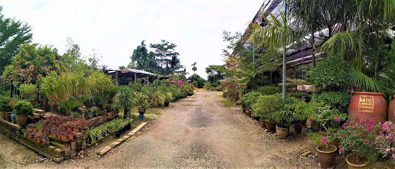 Mie Landscape and Nursery gallery