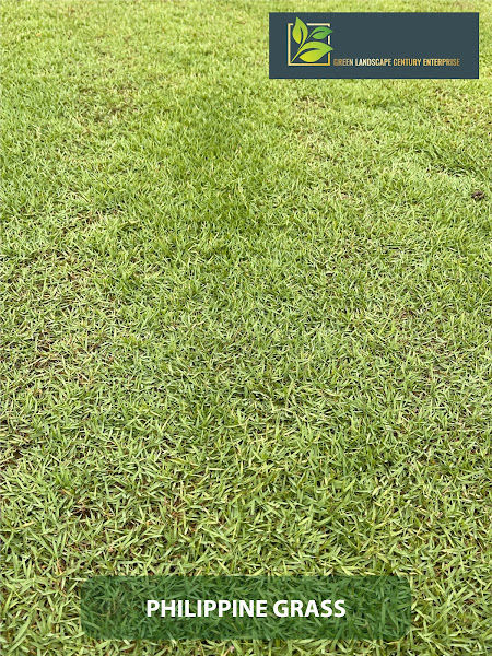 Green Landscape Century Sdn Bhd gallery