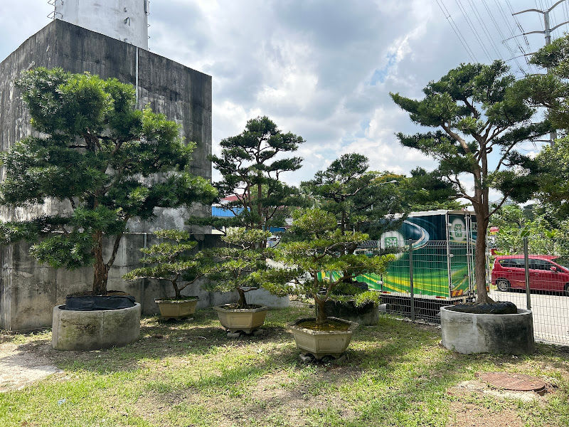 Plantasion Sdn. Bhd. gallery