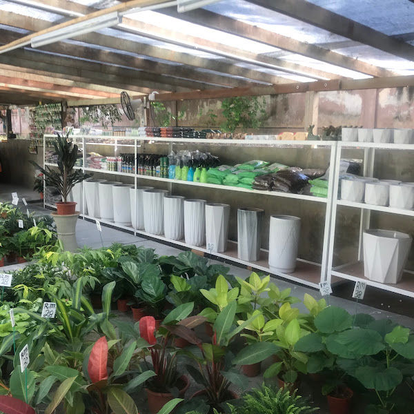 MS Rimbun Emas Enterprise