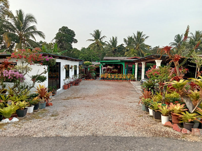 Nursery Manje Garden gallery