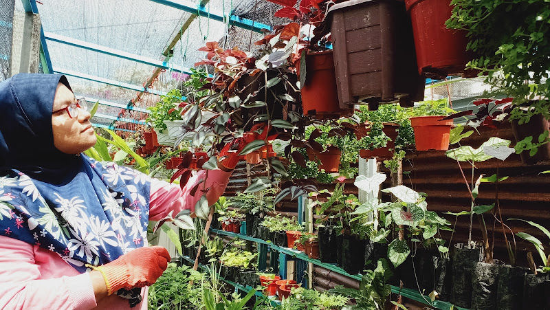 Novaniz Mega Resources gallery