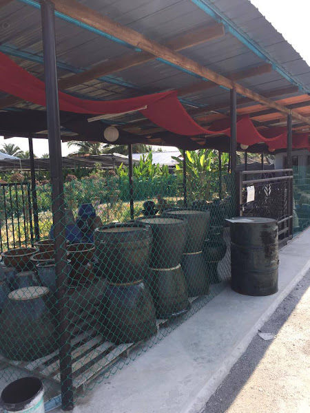 Kedai Pasu Bunga KPZ gallery