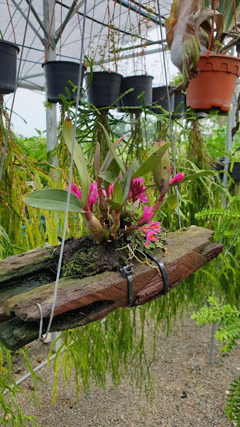Nursery Danish Floral gallery