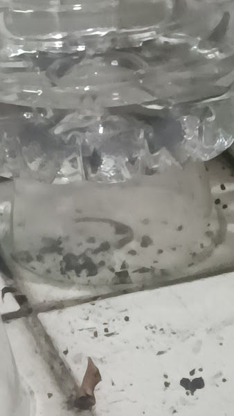 Nurseri Kota Lama Kuala Kangsar gallery