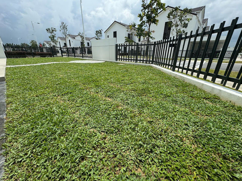 EcoFlora Nursery & Landscaping gallery