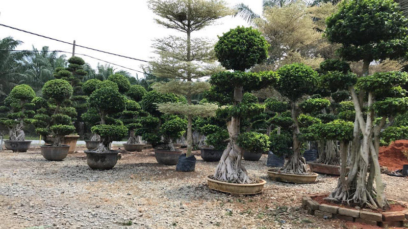 Global Flower Nursery Sdn Bhd