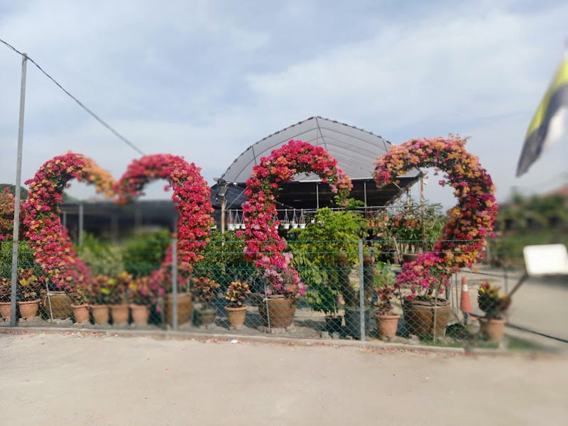 Lim Garden Enterprise gallery