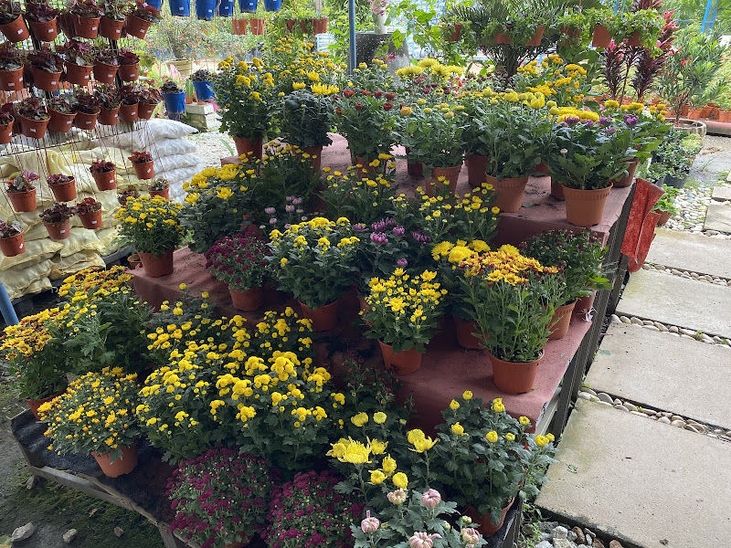 Biogreen Trade gallery