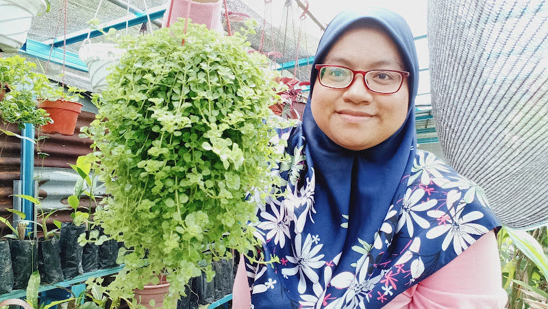 Novaniz Mega Resources gallery