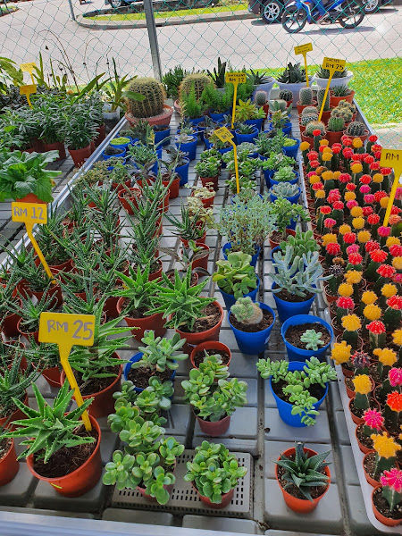 Florale Production Nursery gallery