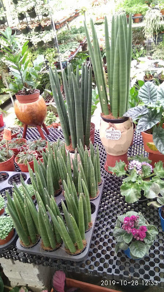 Sungai Buloh Garden Centre gallery