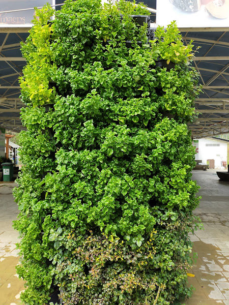 District Garden MAEPS gallery