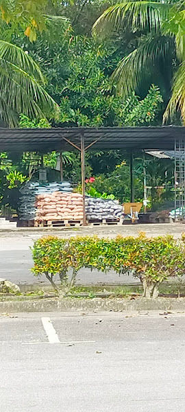 Nursery Pasar Borong Selangor gallery