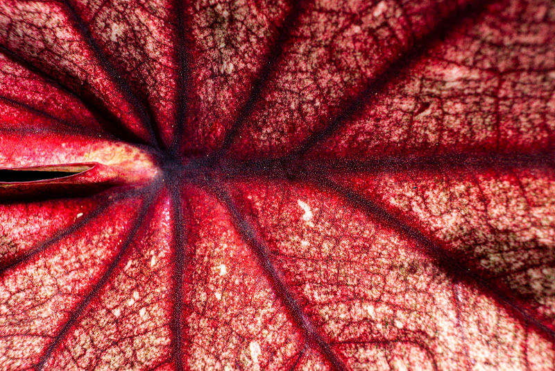 LS GROUP nursery gallery