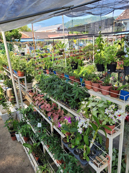 Gorgeous R&S Garden gallery