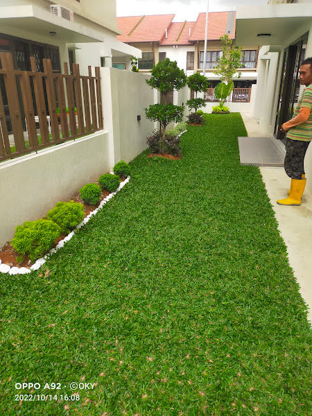 Wadi Landscape gallery