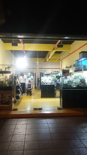 Aquatic Plants Aquarium gallery