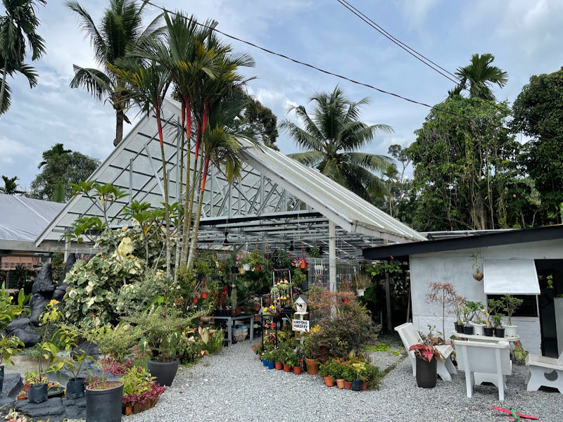 Kampong Nursery gallery