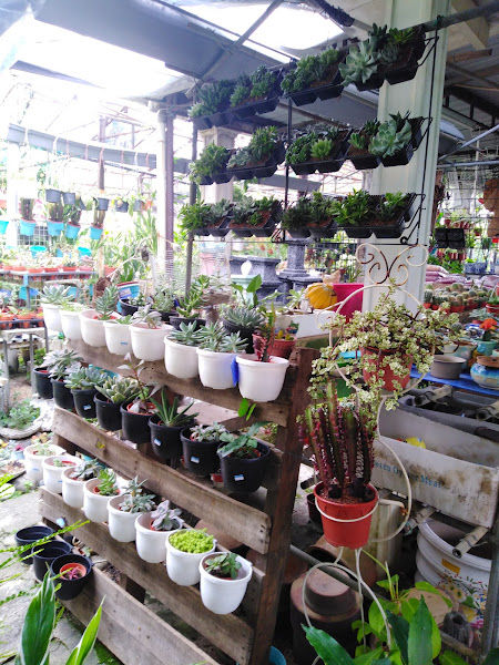 Lutie Nursery gallery