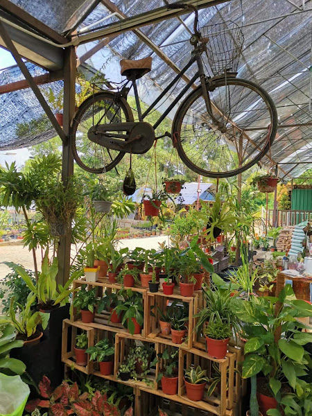 Atuk's Nursery By Weng Sheng Enterprise