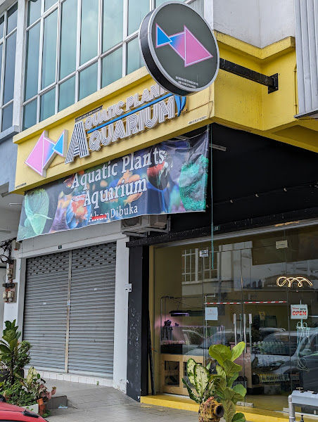 Aquatic Plants Aquarium gallery