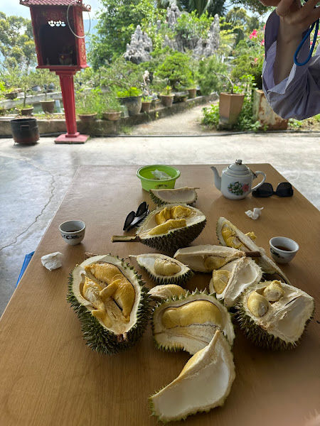 Chang Huat Choon Durian gallery