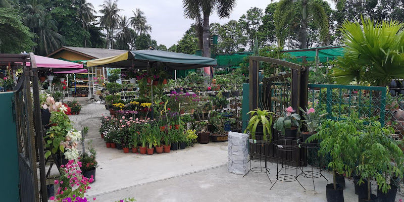 ATC FARM & NURSERY - ALLIANCE TRADITIONAL CARE gallery