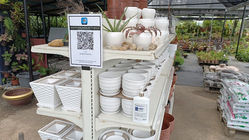 Nursery Sri Banir gallery