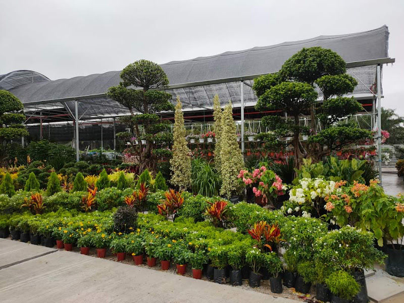 Summerville Nursery @ TPG gallery