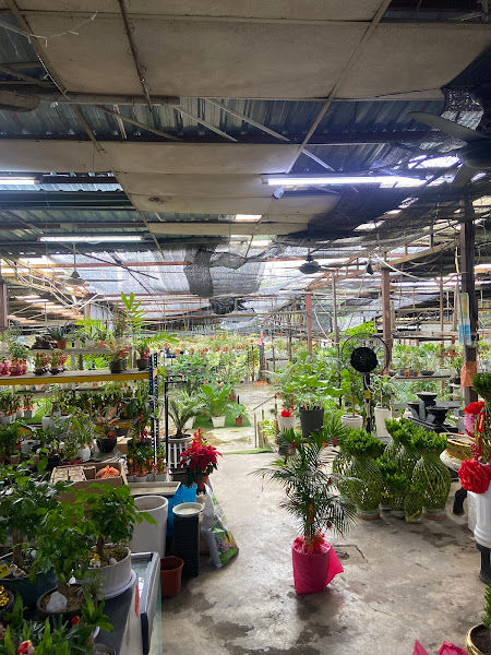 44B Novo Green gallery