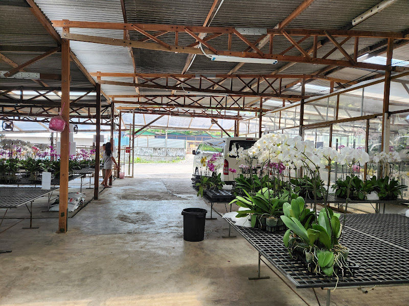 Sanyi Orchid Sdn Bhd gallery