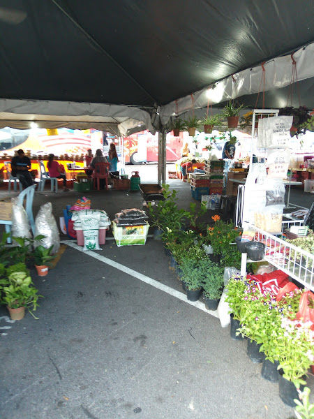 Nurseri Dan Lanskap Alam Hijau