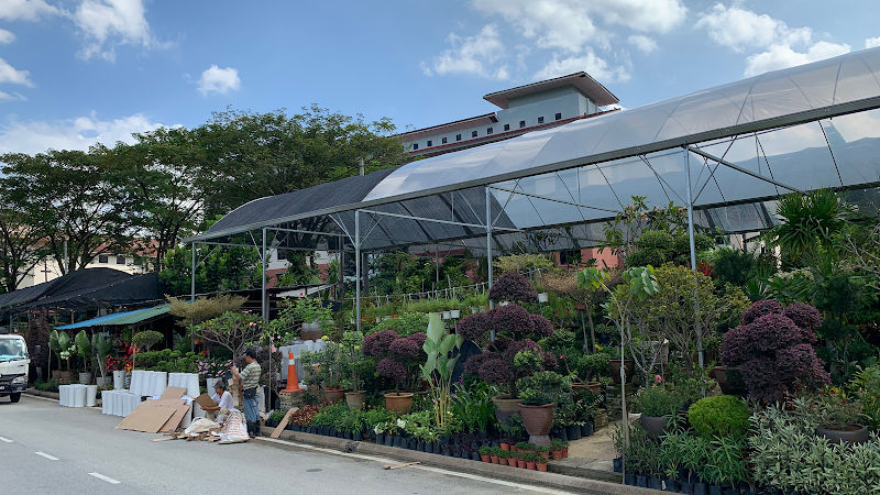 New Ecogreen landscaping