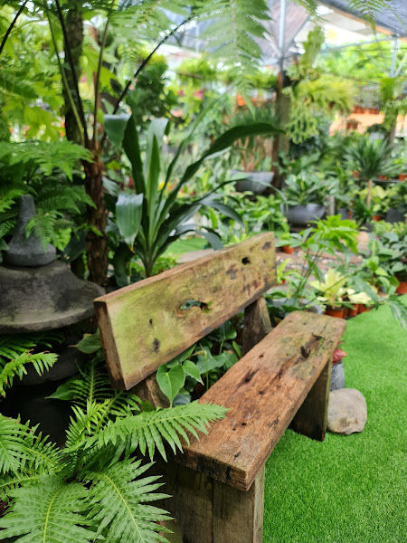 SunSet Garden Concept gallery