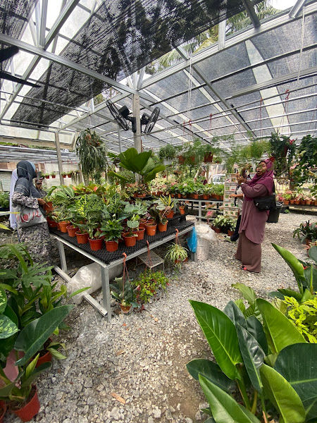 Kampong Nursery gallery