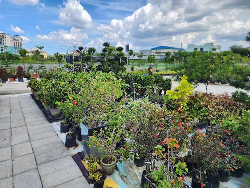 Tan's Plant Nursery