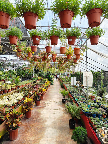 PITTA GARDEN gallery