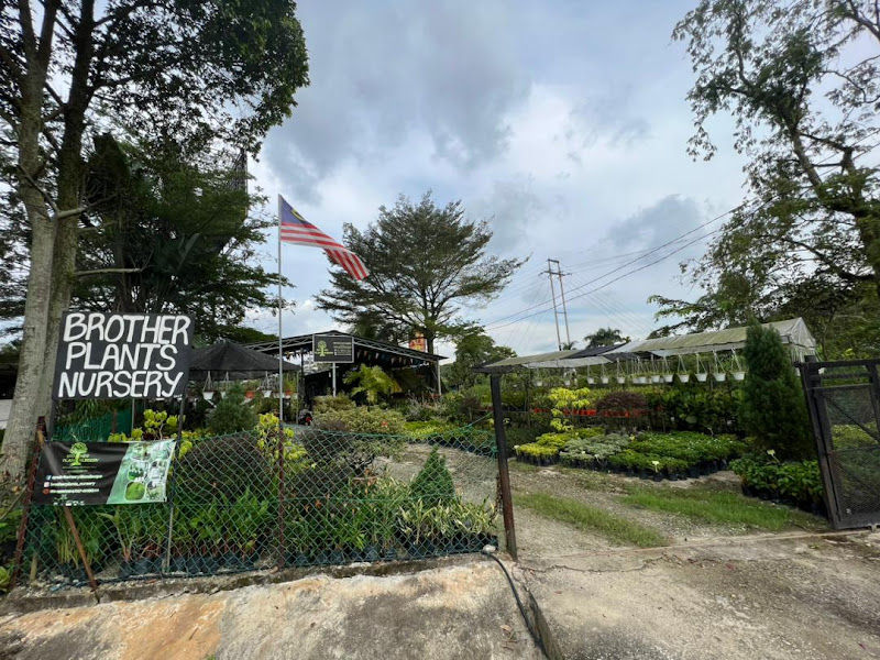 Brother Plants Nursery gallery