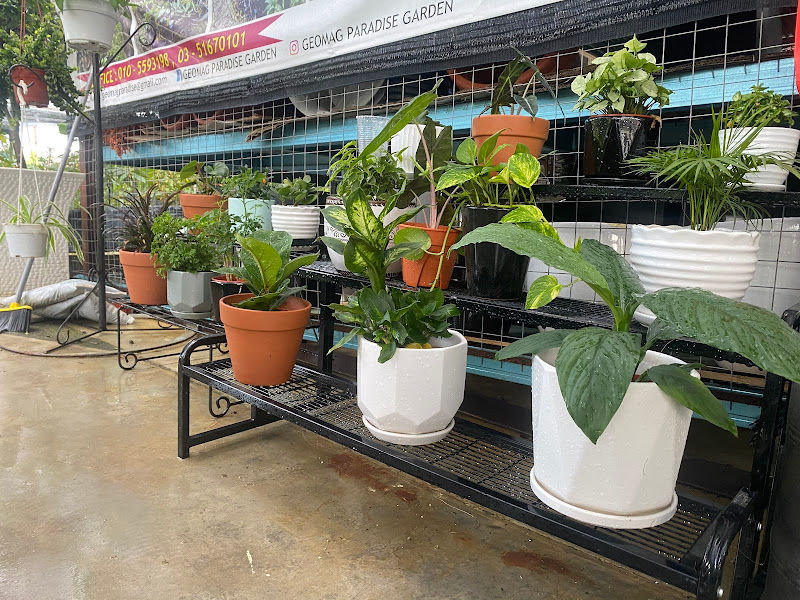 Geomag Paradise Garden gallery