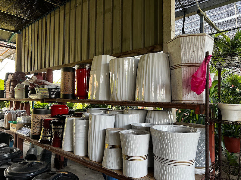 Alma Nursery ( Supplies & Wholesaler ) gallery