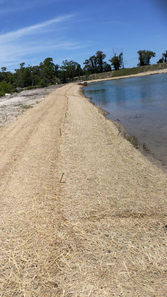 Berseri Hijau gallery