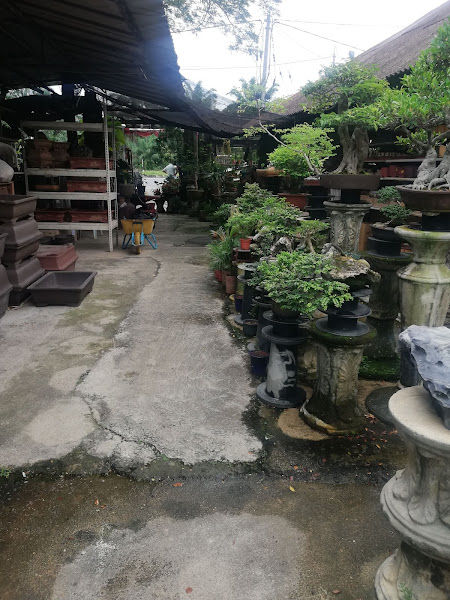 Chia Hong Nursery Centre(征鋒盆栽园艺中心)