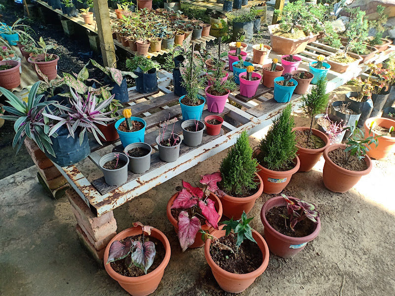 Enstek Nursery (Tang) gallery