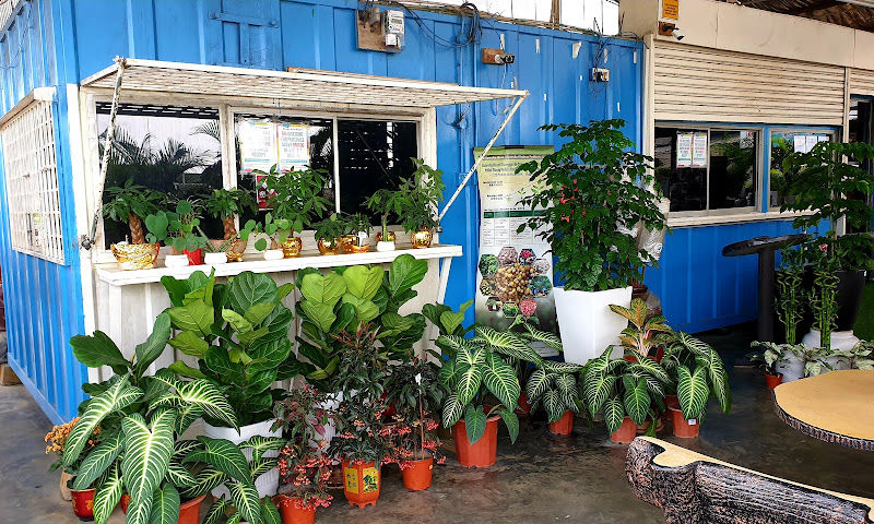 Yew Garden Sungai Buloh