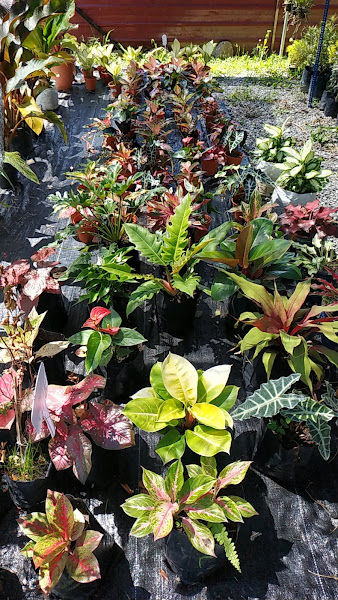 Gee Valley Nursery gallery