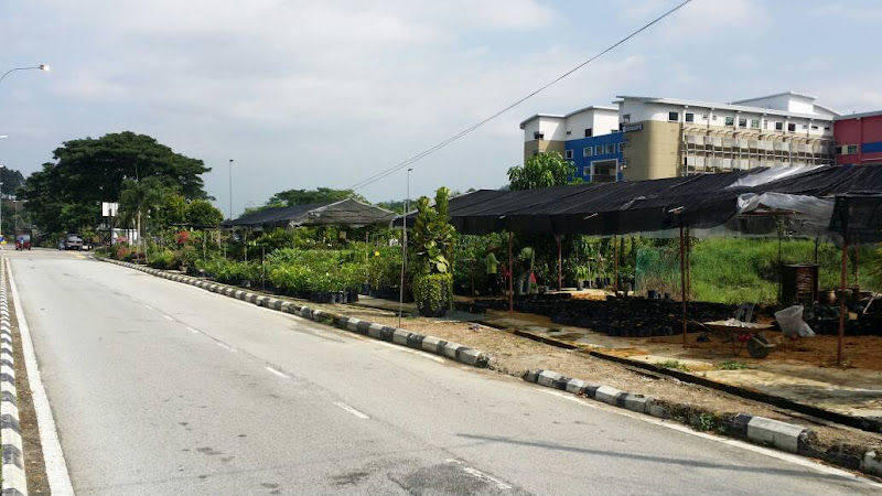 CCL Nursery Centre gallery