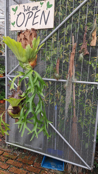 Botanist Plus gallery